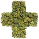 My Florida Green Introducing Medical Marijuana in Florida