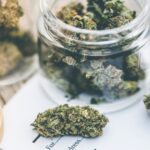 How to Get Florida Medical Marijuana