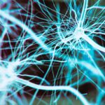 Natural Relief for Lou Gehrig’s Disease Survivors