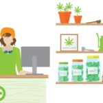 5 Most Popular Dispensaries in Southern Florida