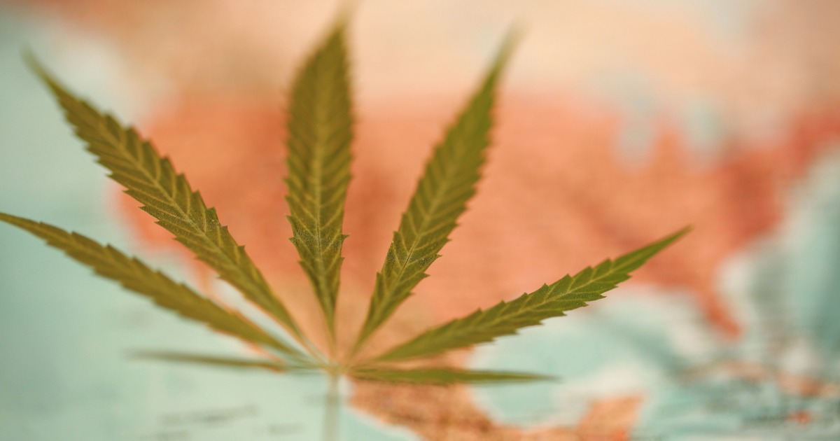 Cannabis Leaf & Map of North America