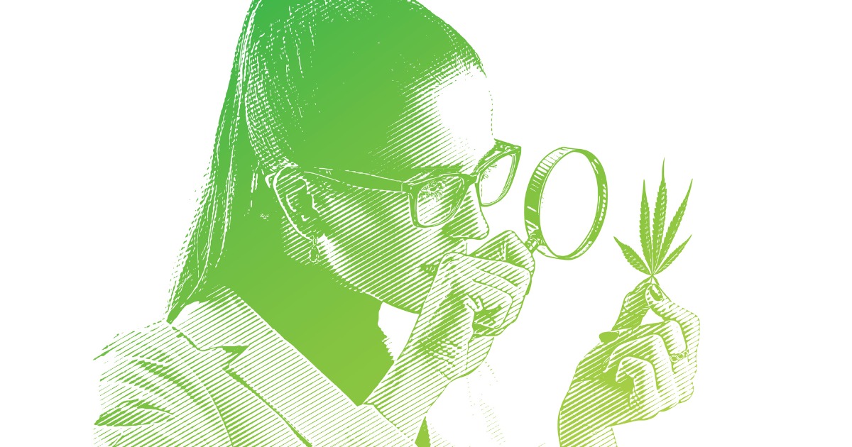 Female Lab Tech Analyzing Marijuana Leaf