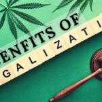 Social Impact of Marijuana Legalization