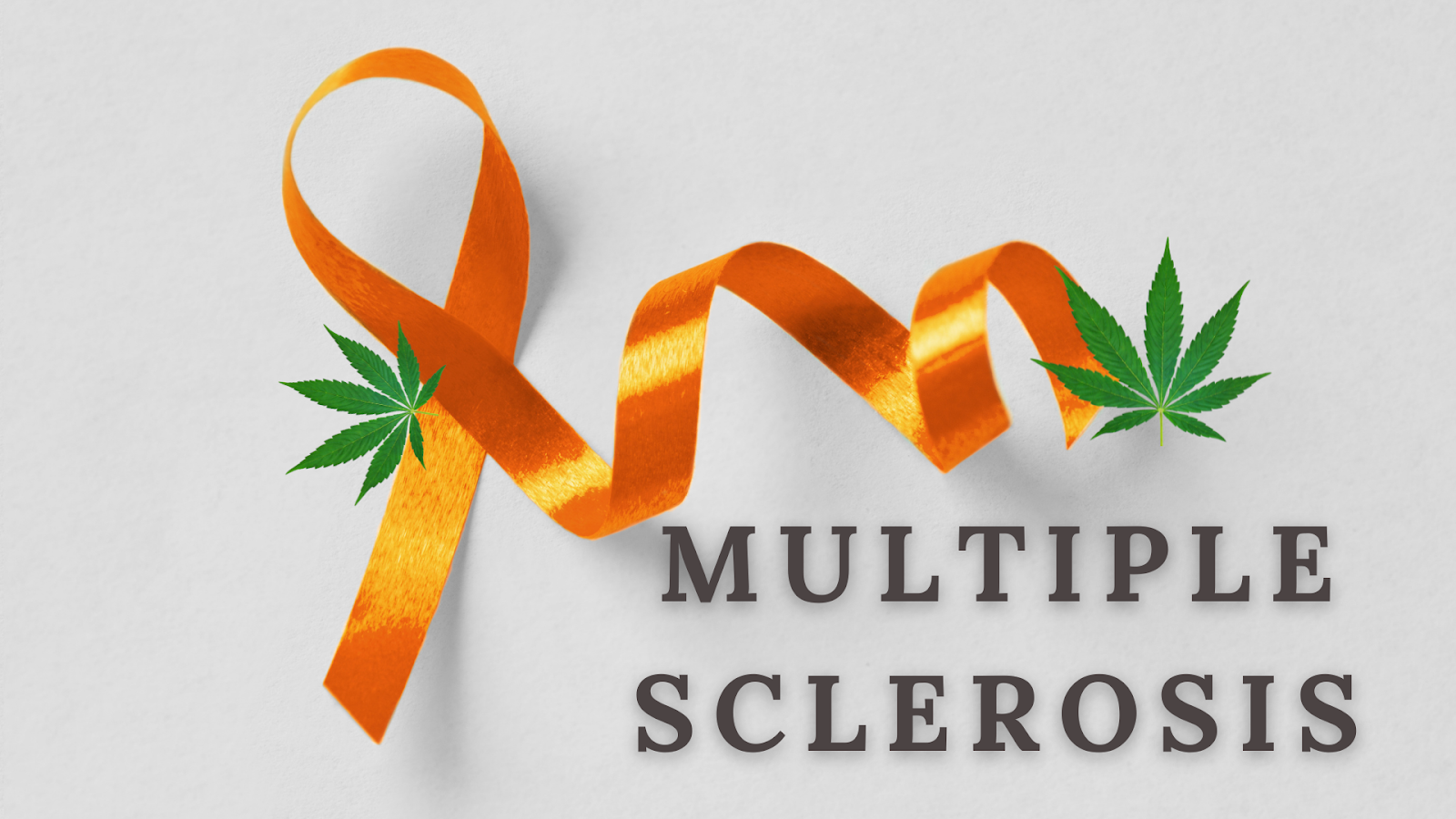 medical marijuana