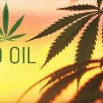 Best ways to take CBD Oil