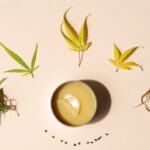 What you need to know about Marijuana Topicals