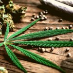Medical Marijuana Products in Florida