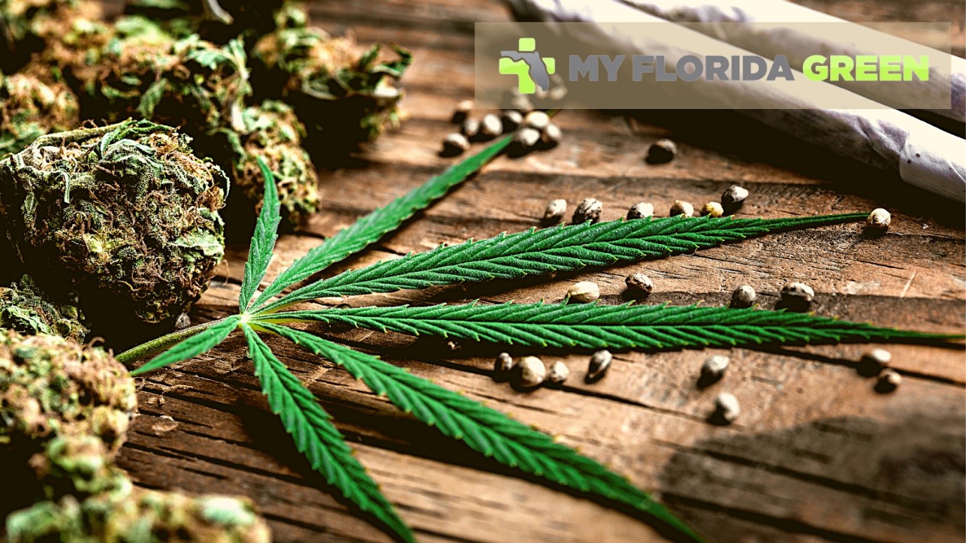 CBD Products