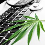 How can you buy Marijuana in Naples, Florida?