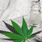 Cannabis and Cannabinoids