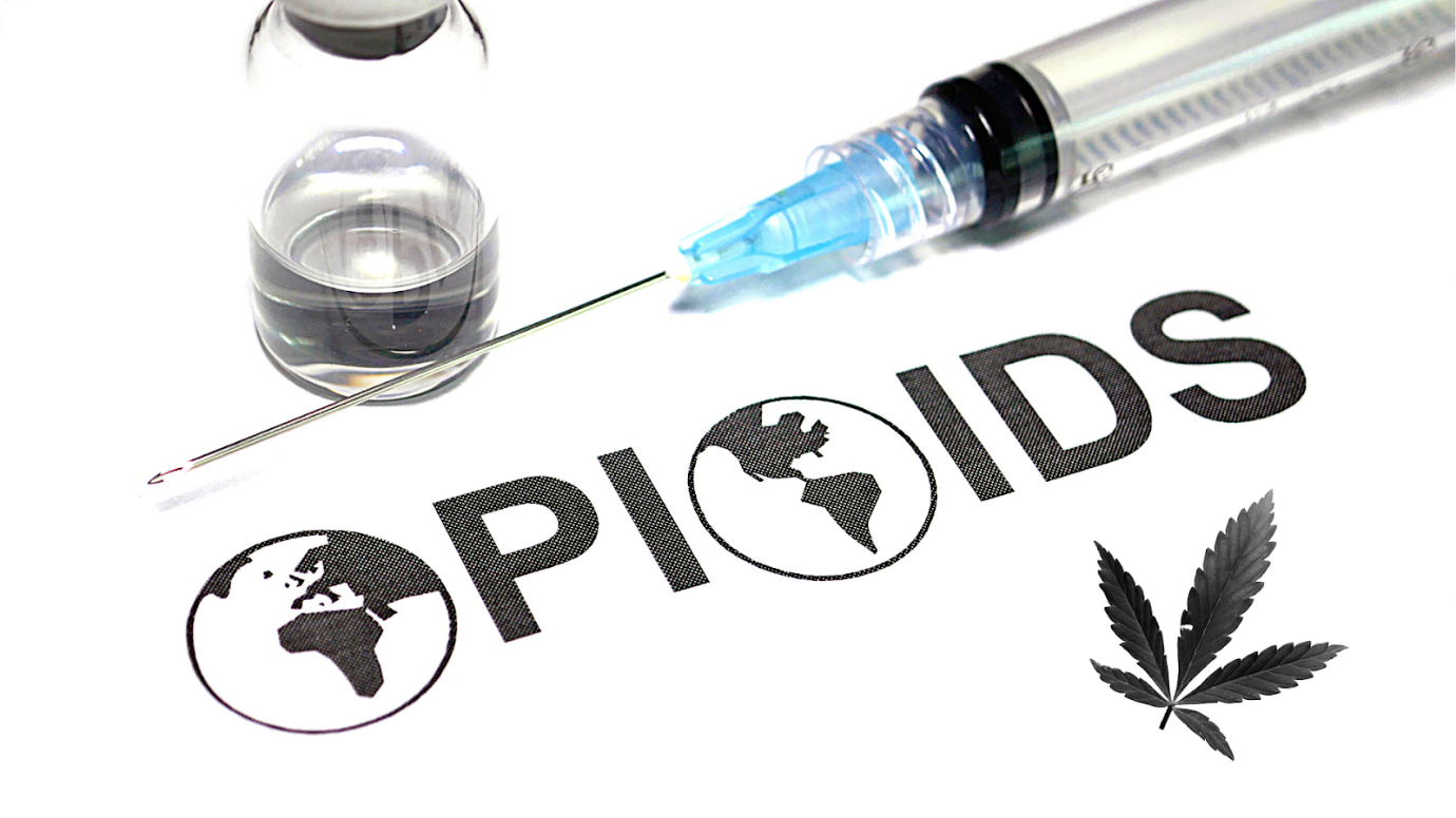 Cannabis