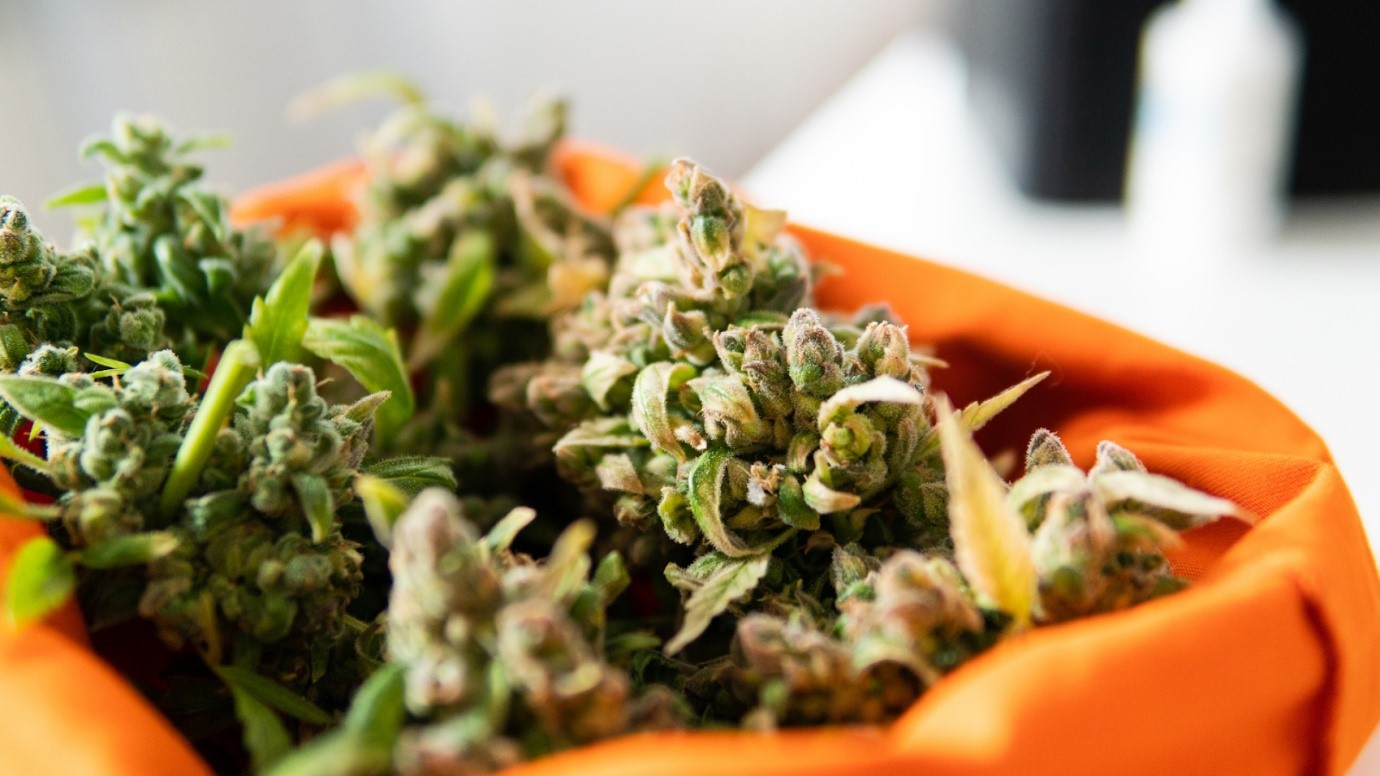 Marijuana Card