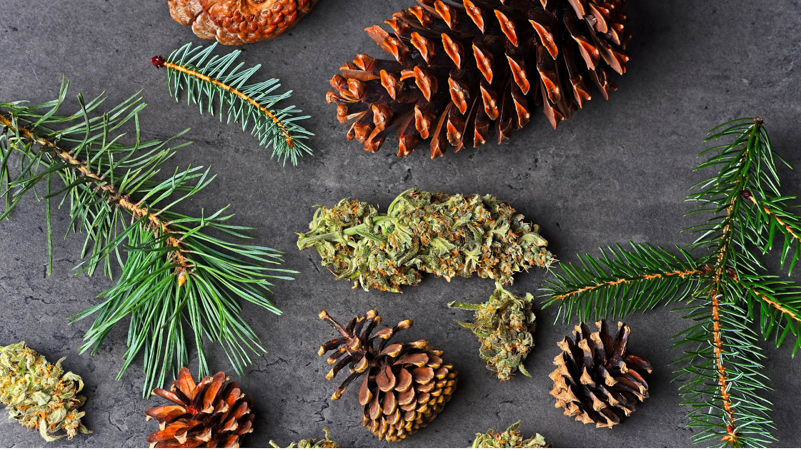 Terpenes work