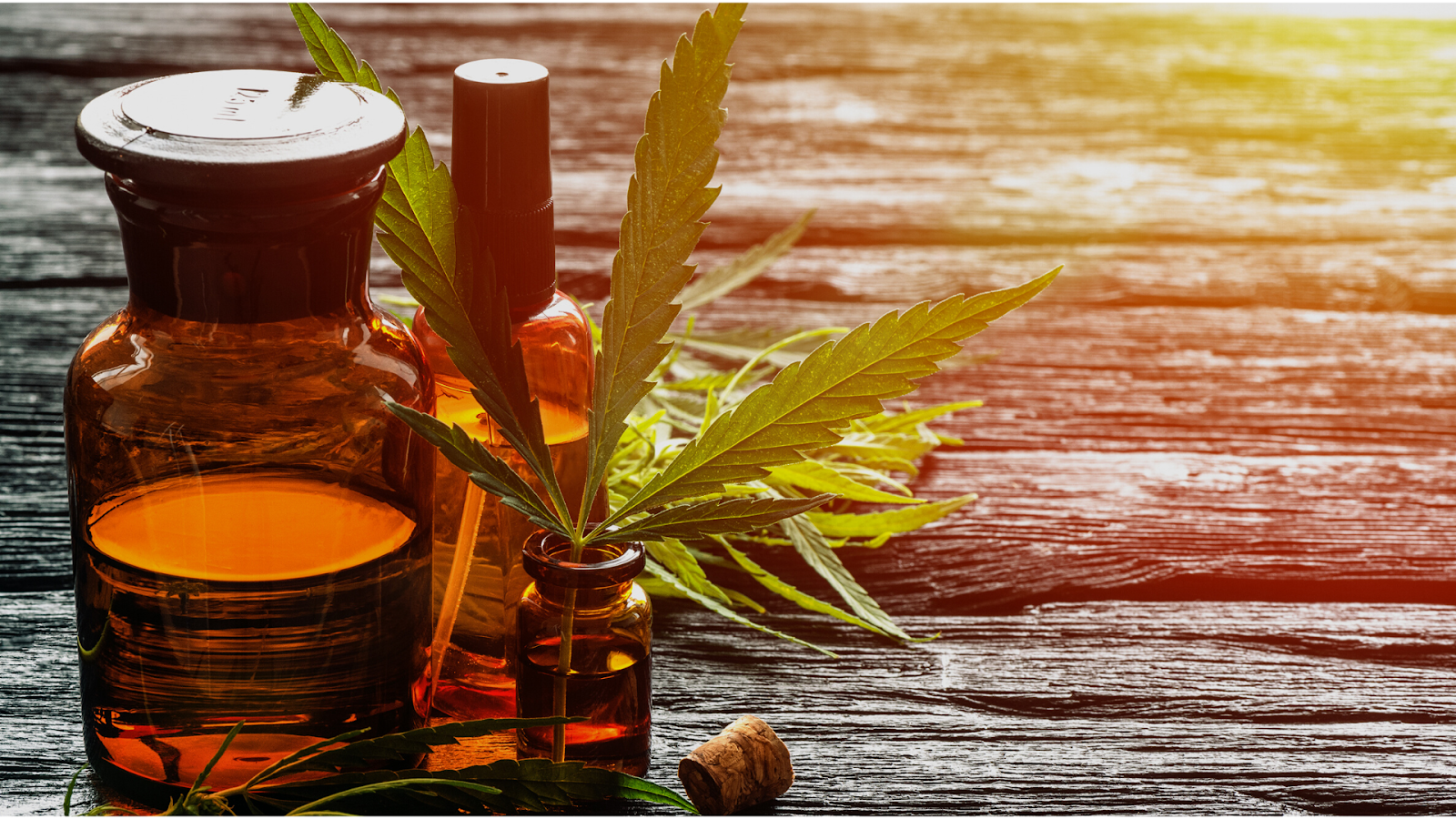 benefits of hemp oil