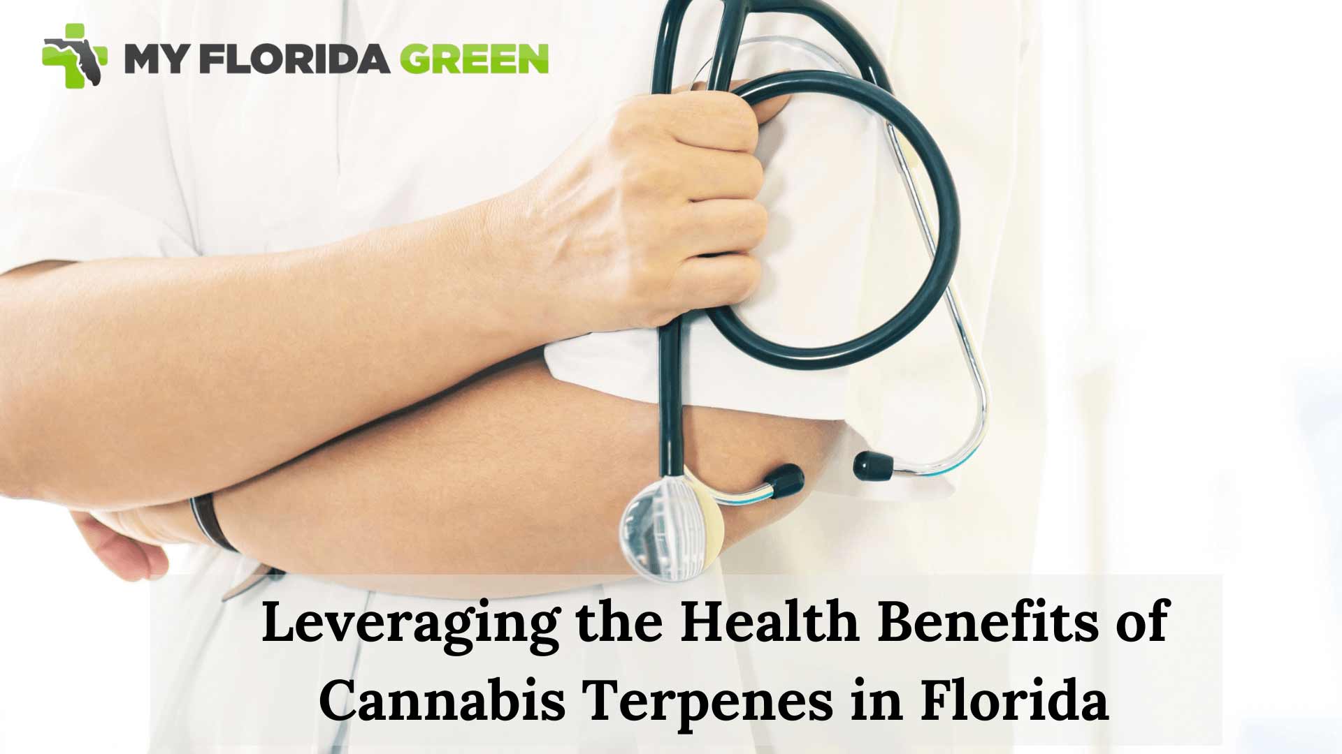 Cannabis terpenes in Florida