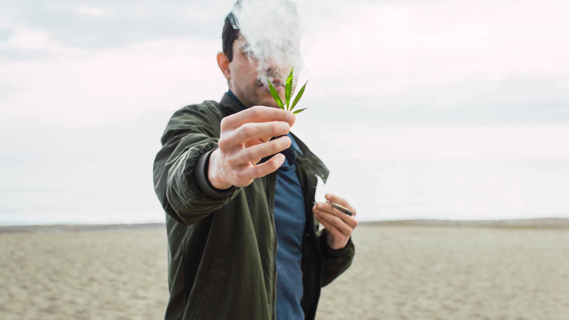 Medical-Cannabis-for-your-system