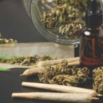 Understanding the Medical Potential of Cannabis
