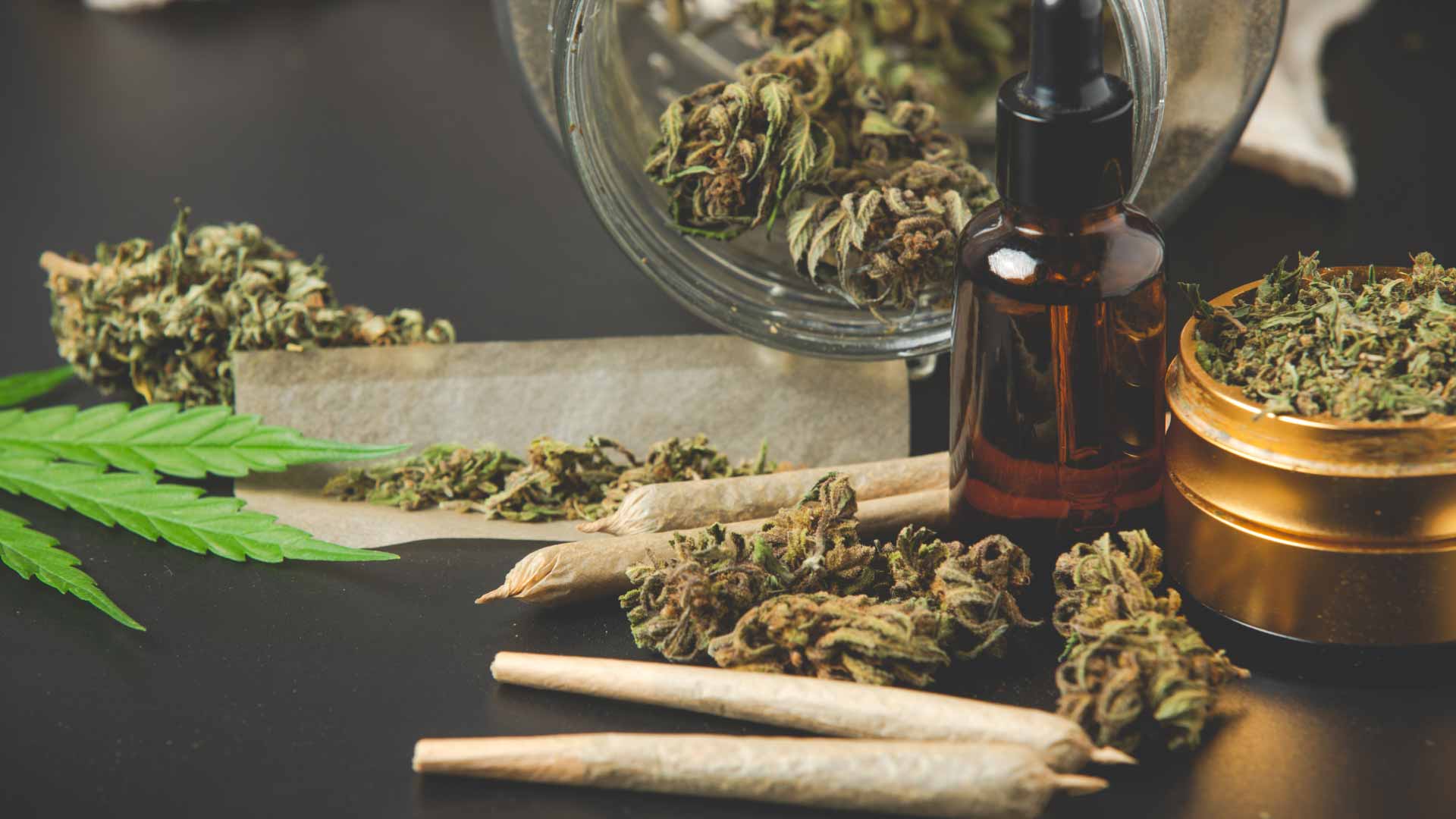 Medical Potential of Cannabis (Marijuana)