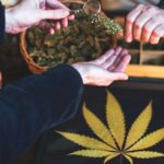 Using Medical Marijuana responsibly in Florida