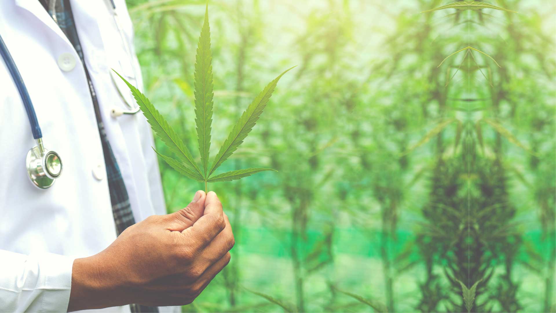 Understanding Medical Marijuana access in Florida