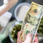The evolution of Cannabis culture in USA
