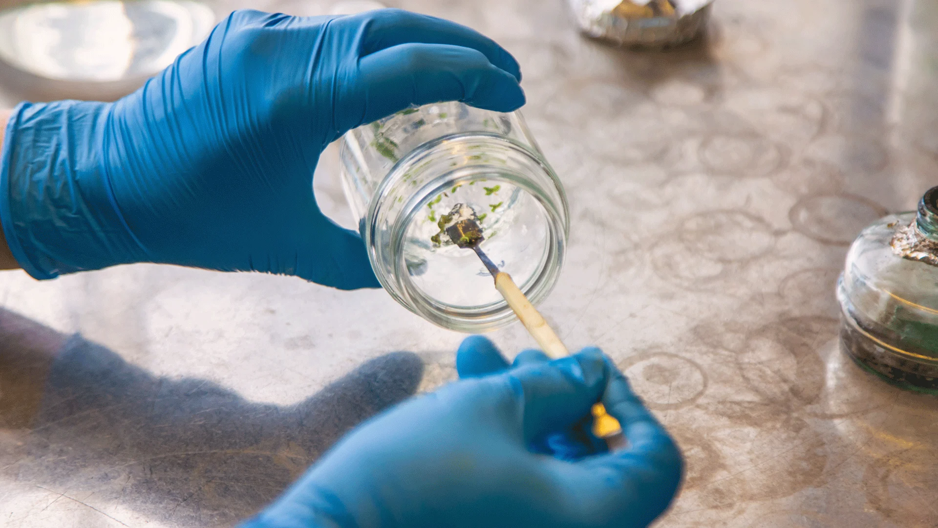 Microdosing Marijuana