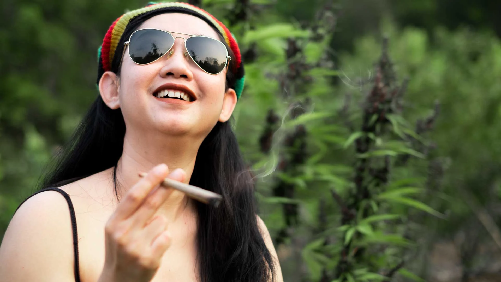 Top 5 Cannabis Consumption Methods for Beginners